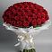 Букет 101 Красная роза Блэк Мэджик в Беково