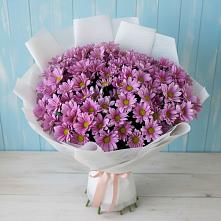Букет цветов из:  Хризантемы в Беково