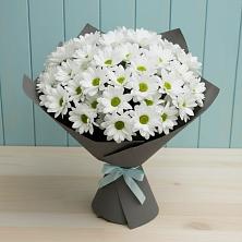 Букет цветов из:  Хризантемы в Беково