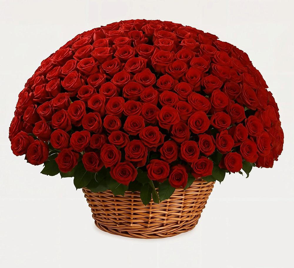 Премиум букет из: Розы в Беково