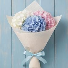 Букет цветов из:  Гортензия в Беково