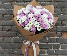 Букет цветов из:  Хризантемы в Беково