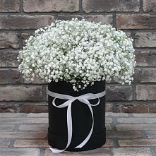 Цветочная композиция из Гипсофила в шляпной коробке в Беково