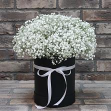 Цветочная композиция из Гипсофила в шляпной коробке в Беково