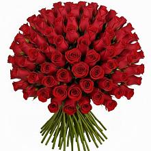 Букет Красные розы Чери Лав в Беково