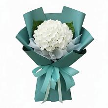 Букет цветов из:  Гортензия #REPLACE_PRED# Беково